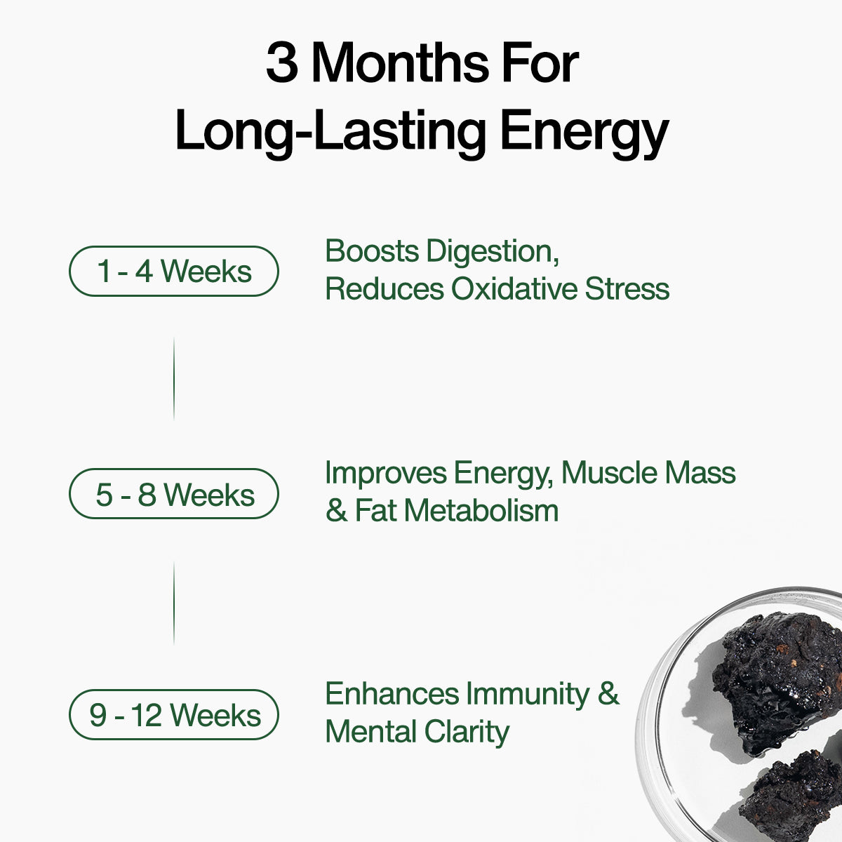 Kapiva Shilajit Gummies (No added Sugar)