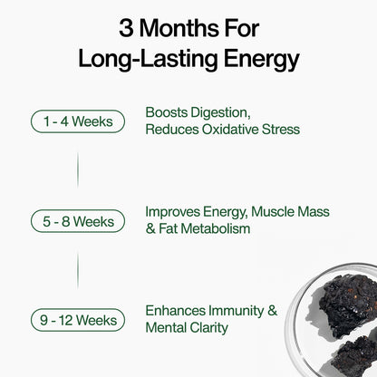 Kapiva Shilajit Gummies (No added Sugar)