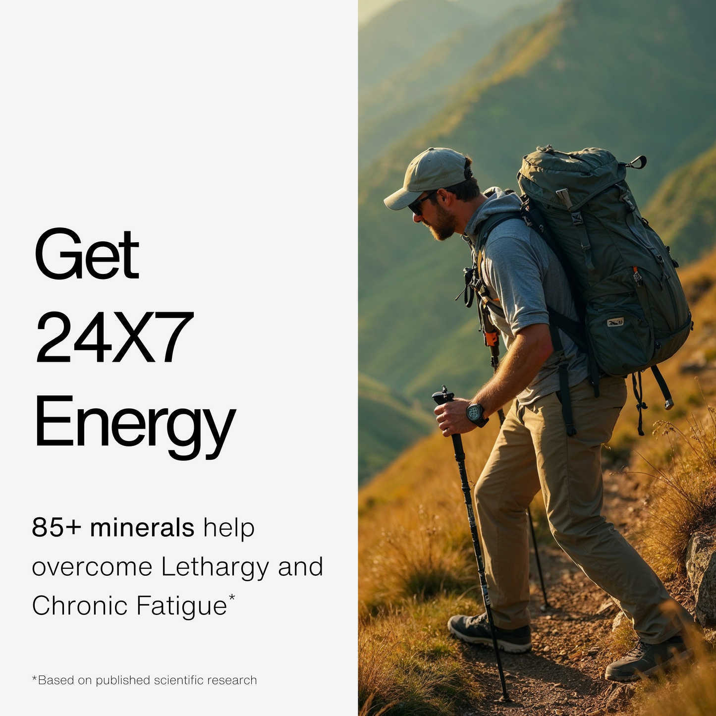 100% Pure Himalayan Shilajit