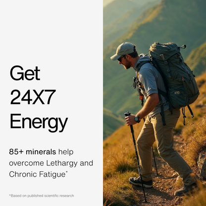 100% Pure Himalayan Shilajit