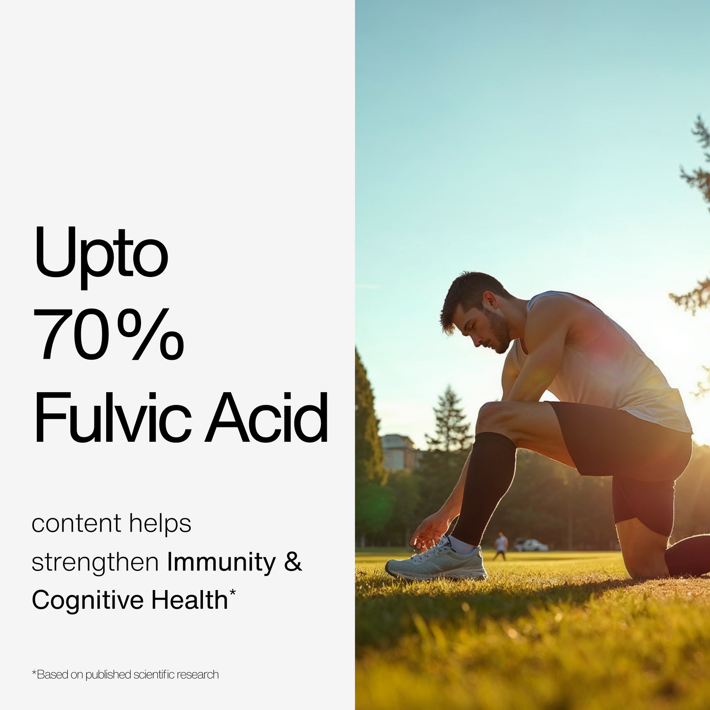 100% Pure Himalayan Shilajit